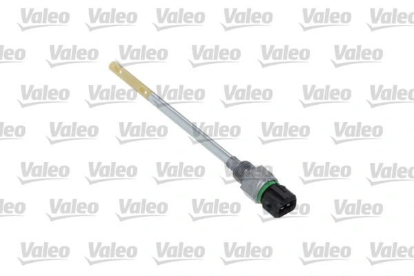 366206 VALEO