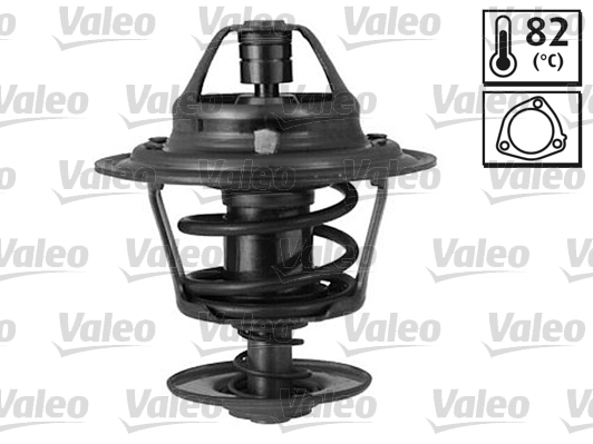 819911 VALEO