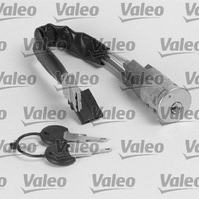 252454 VALEO