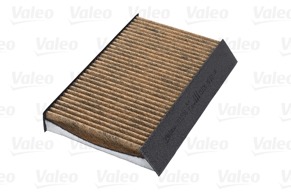 701006 VALEO Filtro antipolen