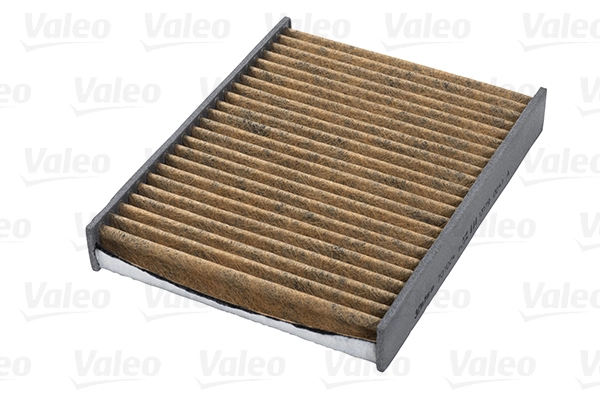 701004 VALEO Filtro antipolen
