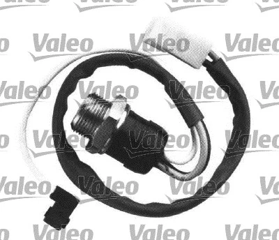 Sensor de temperatura del refrigerante FAE 38270