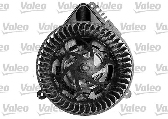 698217 VALEO