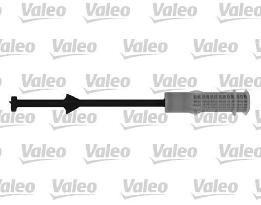 509791 VALEO
