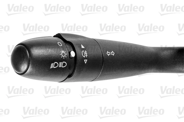 251496 VALEO