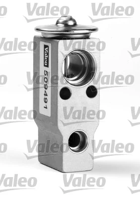 509491 VALEO