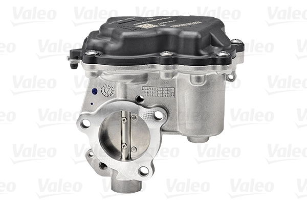 Comprar 700458 VALEO Válvula EGR