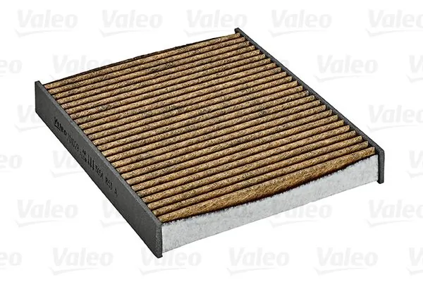 701029 VALEO Filtro antipolen