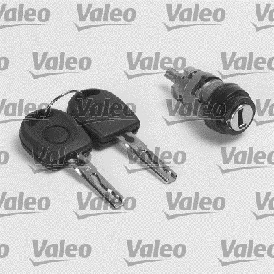 252011 VALEO
