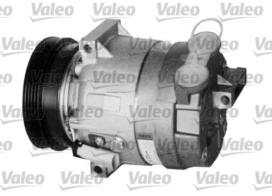 699391 VALEO