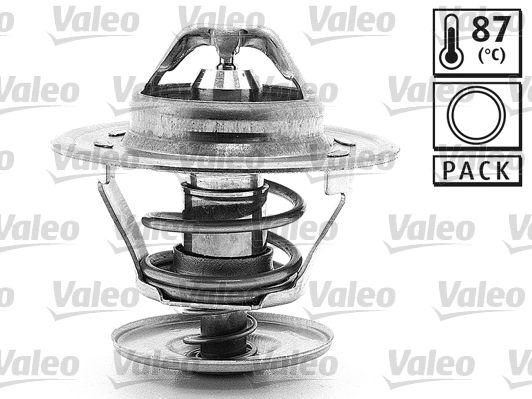 Precio del repuesto Termostato refrigerante A3  hatchback