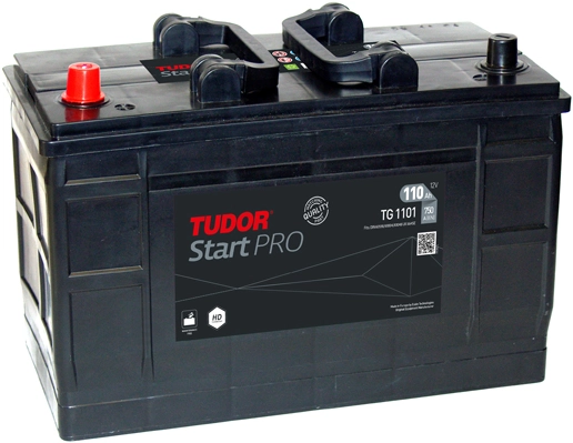 TG1101 Tudor