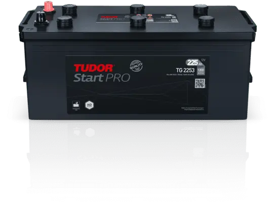 TG2253 Tudor