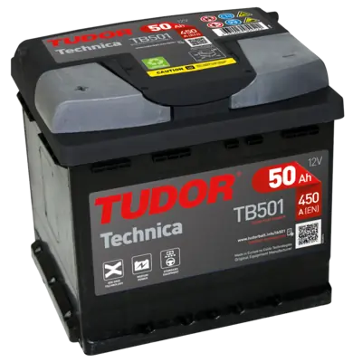 TB501 Tudor