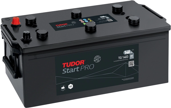TG1403 Tudor