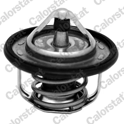 Termostato refrigerante Nissan JUKE  desde 15,62 €
