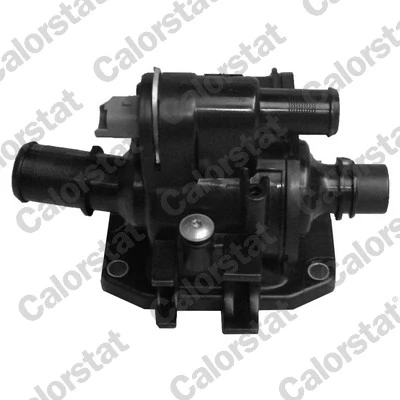 Termostato refrigerante Ford Fiesta VI hatchback comprar en España
