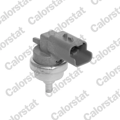 Sensor de temperatura del motor Peugeot 2008 II SUV comprar en España