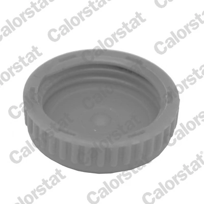 Comprar Tapón depósito de refrigerante Nissan Almera II N16