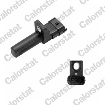 CS0225 Vernet