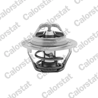 Comprar Termostato Renault Laguna II BG0, BG1 a bajo precio