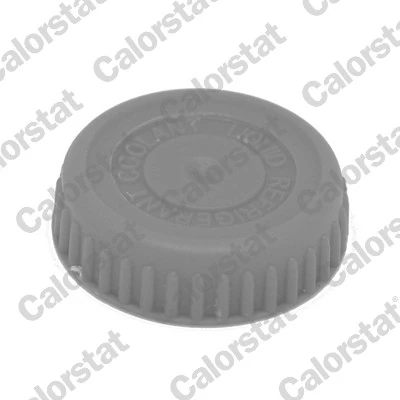 Tapón depósito de refrigerante para Nissan Almera N16