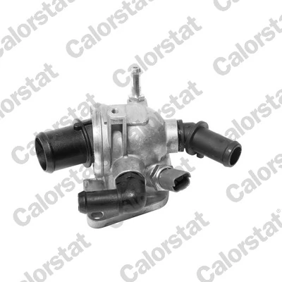 Comprar Termostato Fiat Punto  199 a bajo precio