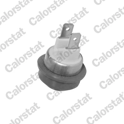 Sensor de temperatura del refrigerante para Rover 25 (RF)
