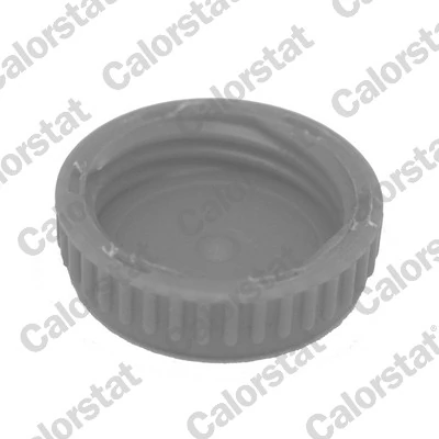 Tapa de radiador (tapón) Nissan Primera sedán (P12) (2002 - 2008) precio, desde 3,27 EUR