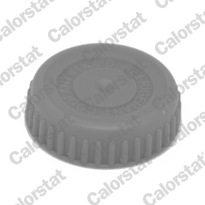 Tapa radiador para Nissan Primera P12