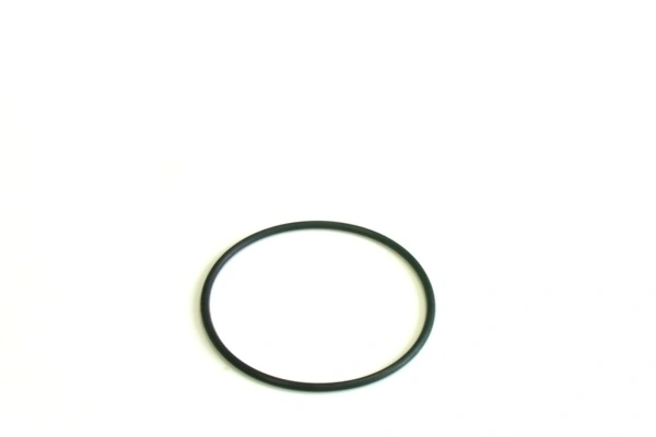 51125030092 MAN Filtro de gasolina