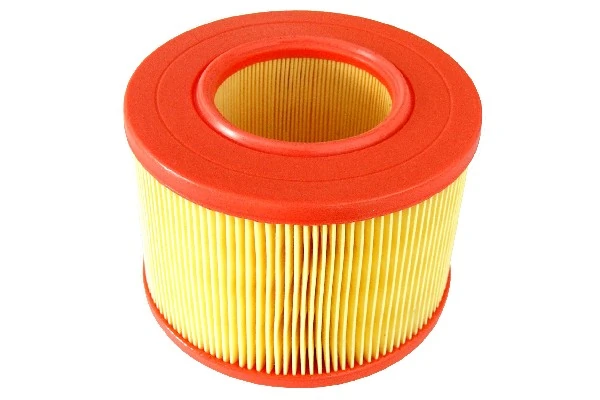 1807257M1 Massey Ferguson Filtro de aire de motor