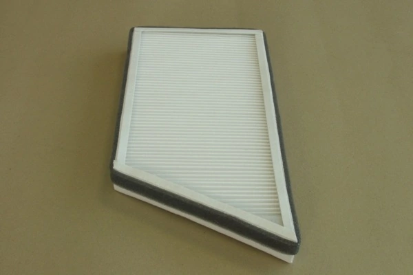 SA1176 SCT Filtro antipolen