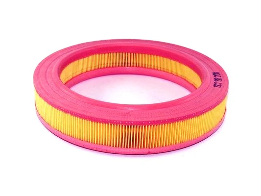 Filtro aire General Motors 25062419