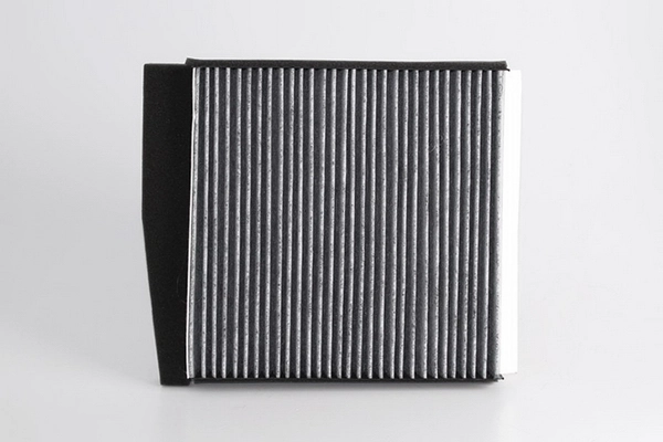 68297 HELLA Filtro antipolen