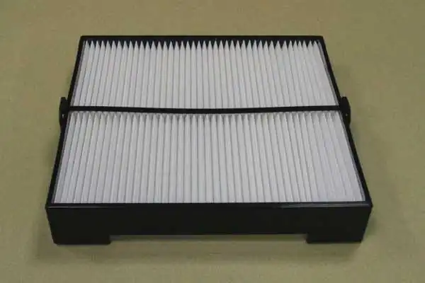 SA1217 SCT Filtro antipolen