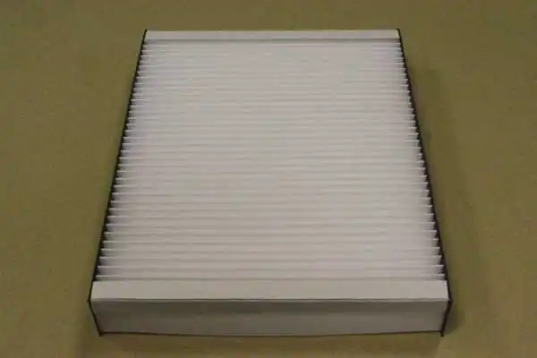 SA1213 SCT Filtro antipolen