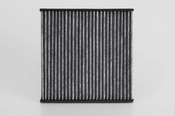 Filtro de polen Peugeot/Citroen 1612919480