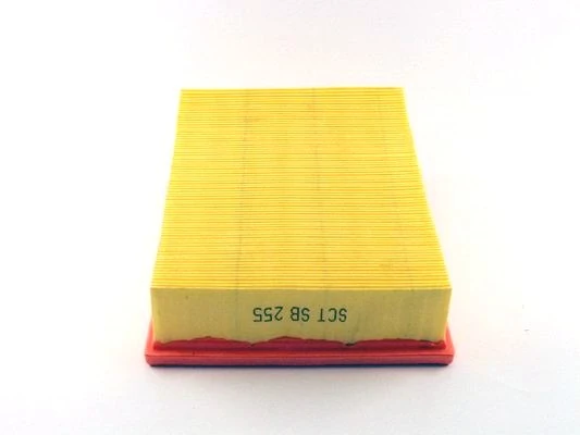 Filtro aire Case 6190627M1
