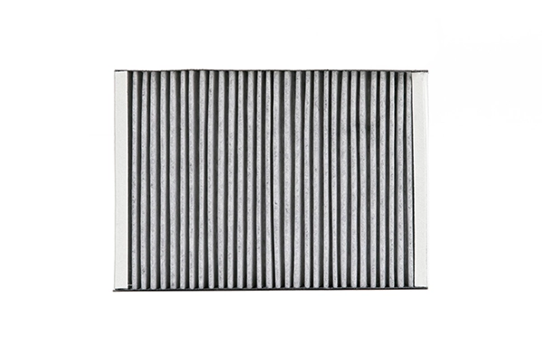 AS2520 Polcar Filtro antipolen