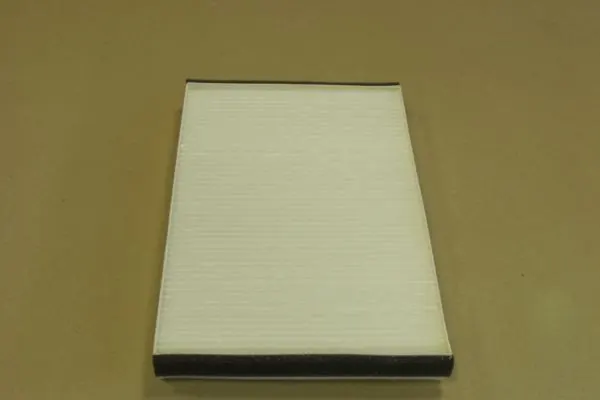 Filtro de polen Peugeot/Citroen 1609048180