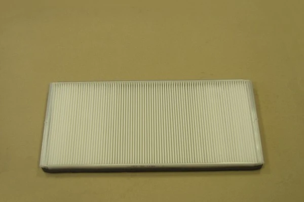 101104 Renault (RVI) Filtro antipolen