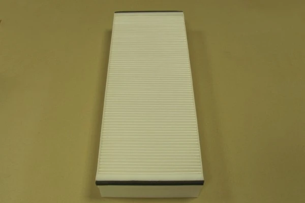 Filtro antipolen para MAN TGX I 