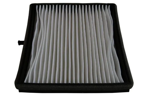 SA1141 SCT Filtro antipolen