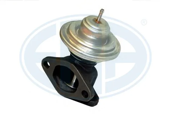 Comprar EGR Daily I-II