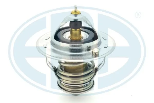 Comprar Termostato refrigerante L 300  P0W, P1W
