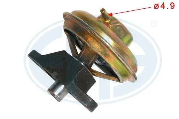 555058 ERA