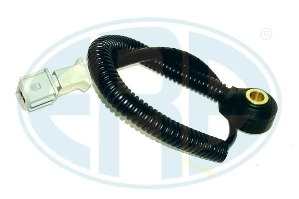 Sensor de detonaciones Hyundai Santa Fe II desde 32,61 €