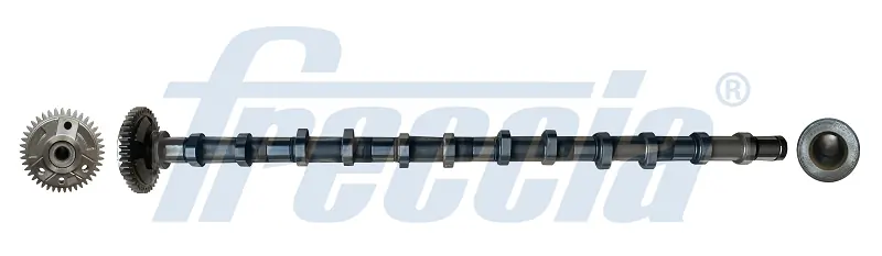 CM052354 Freccia