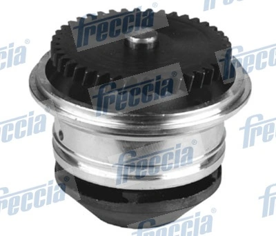 WP0545 Freccia